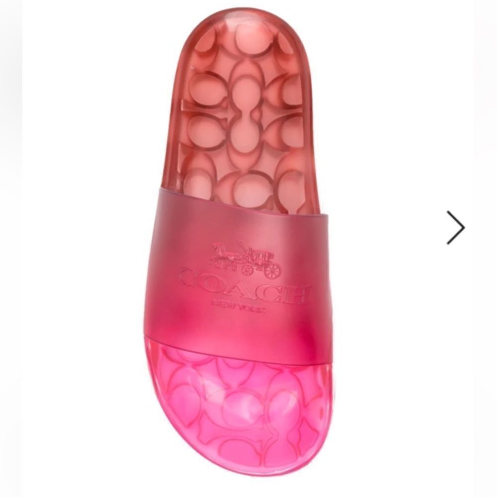 Coach Ulyssa Horse and Carriage Ombré Slides